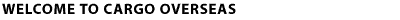 Cargo and Freight forwarding professionals